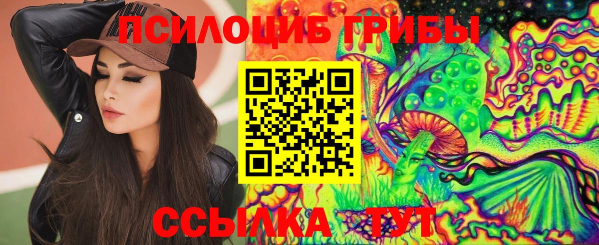 Галлюциногенные грибы Cubensis Советская Гавань