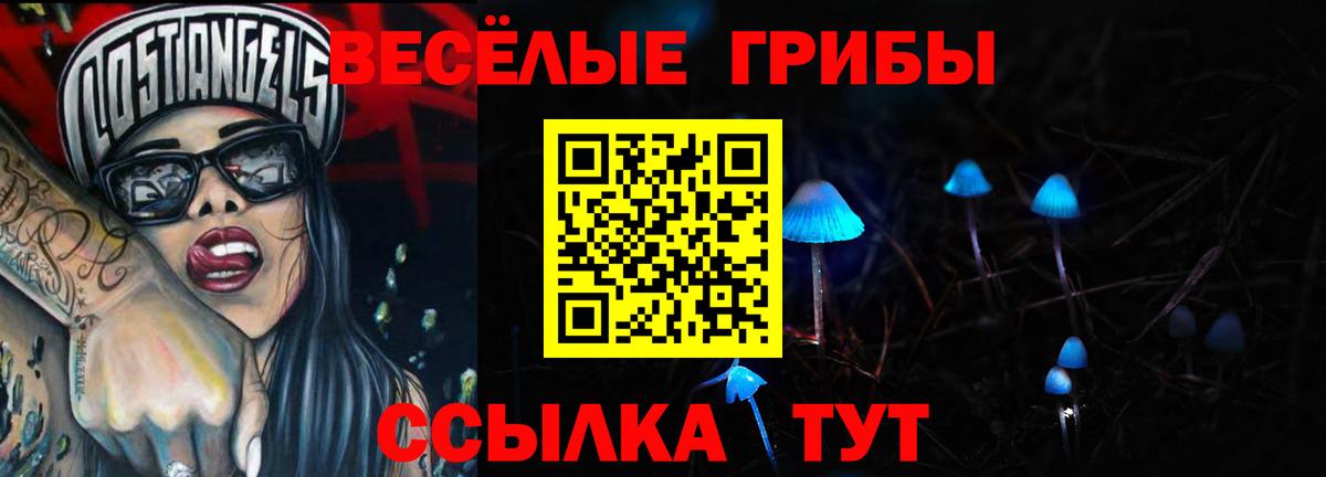 Галлюциногенные грибы Cubensis  Псилоцибиновые грибы GOLDEN TEACHER  Вход с VPN  Советская Гавань 